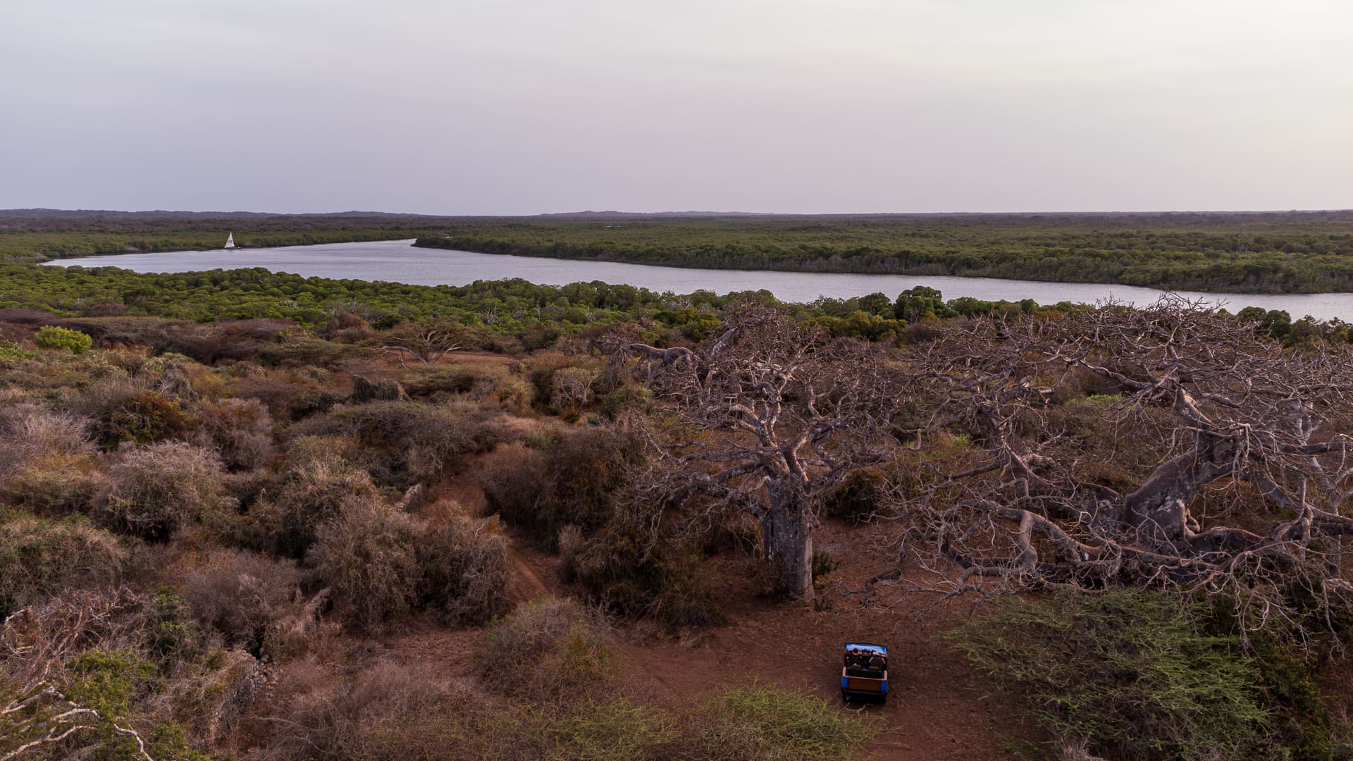 Aerial view of an Archipelagus working landscape