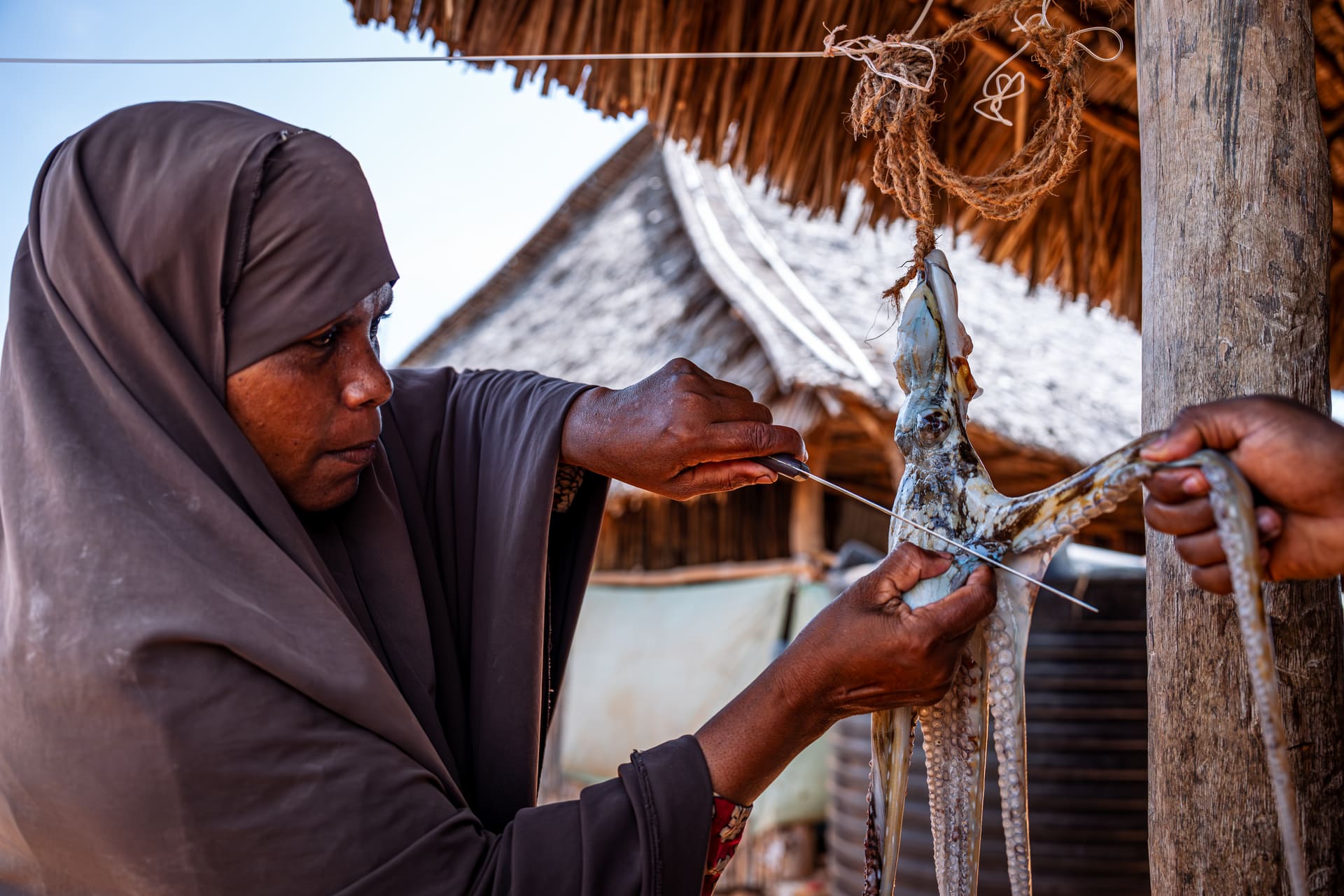 Sibiloi Conservancy Partnership