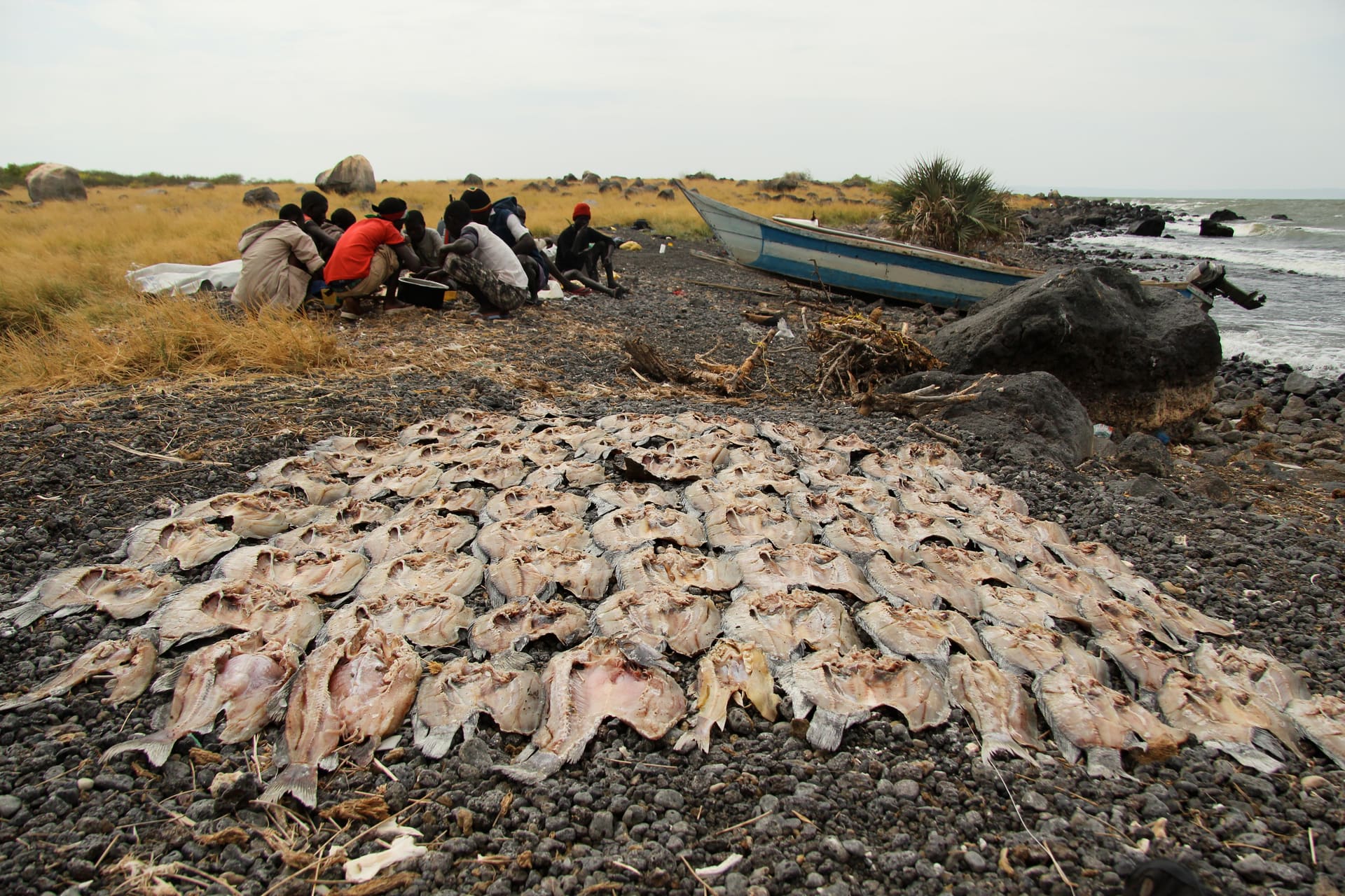 Fishermen gathered beside rows of fish drying on the rocky shore of Lake Turkana, with a wooden boat pulled up on the beach